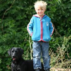 Labrador retriever Tiki