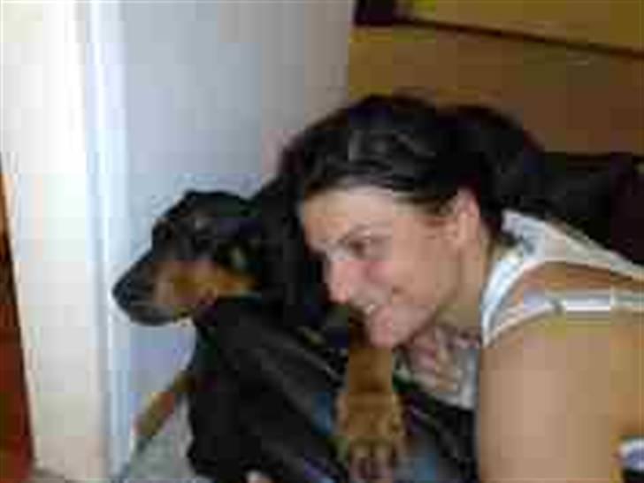 Dobermann Coco R.I.P<3 billede 16