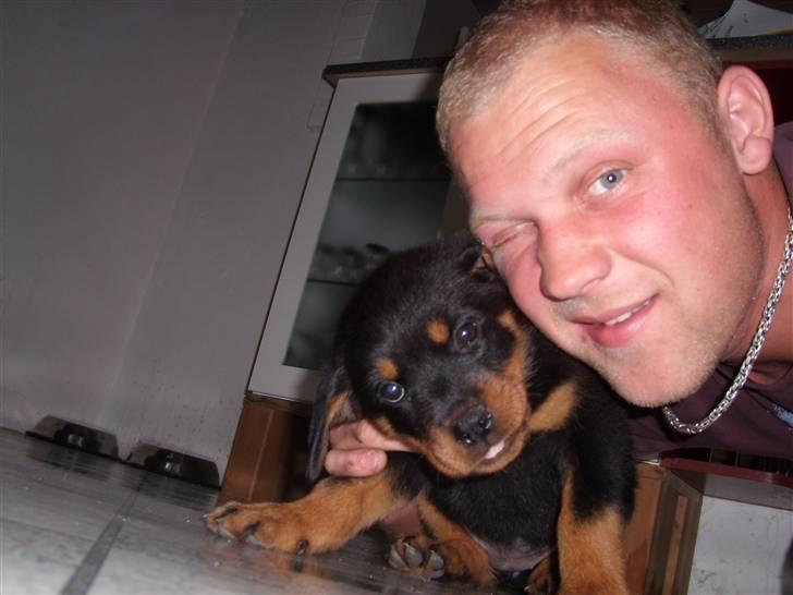 Rottweiler Zita Elvira Andersen - Far og mig :) billede 3