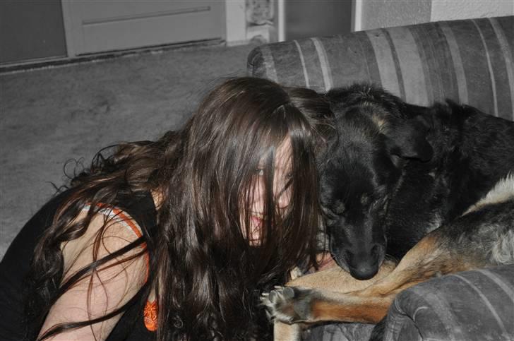 Blanding af racer Milan billede 1