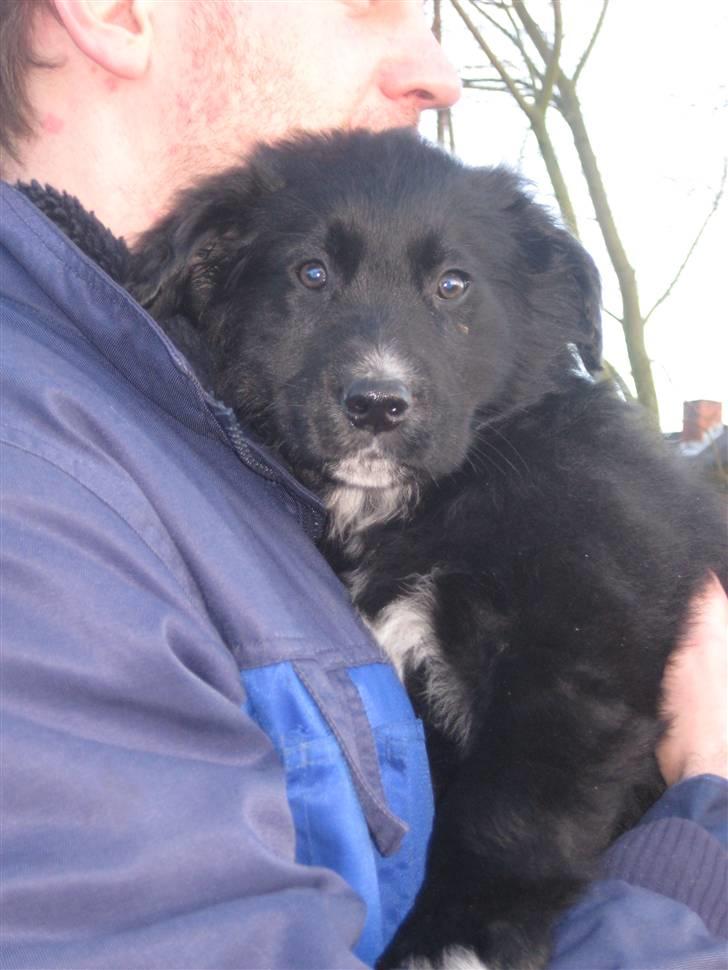 Blanding af racer Taiko - Et hygge løft, det er altid dejligt, den 26/2 2009 billede 11