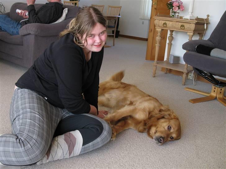 Golden retriever laban - så klø mig dog mig på maven mor  billede 10