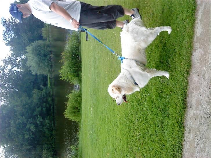 Blanding af racer Tarzan - Tarzan i Dorkterparken billede 14