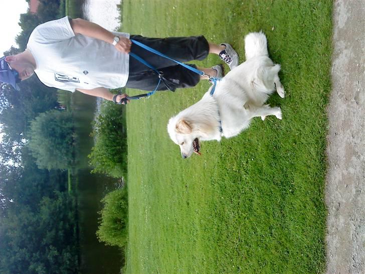 Blanding af racer Tarzan - Tarzan i Dokterparken billede 15