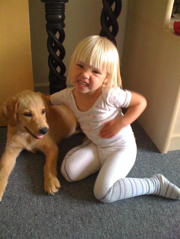 Blanding af racer Mika - 12 uger gammel billede 2