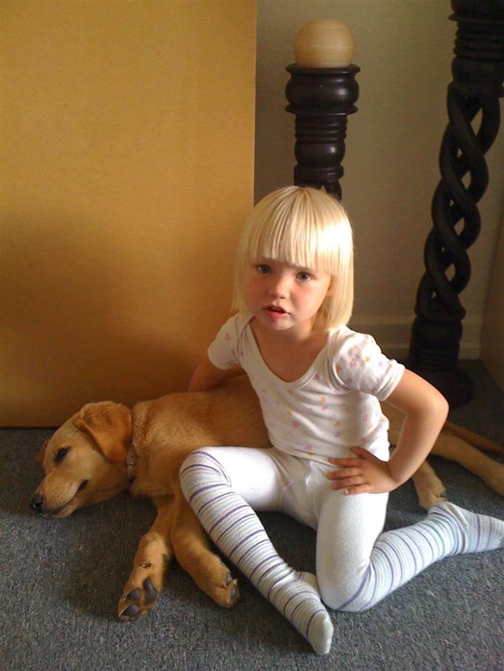 Blanding af racer Mika - 12 uger gammel billede 3