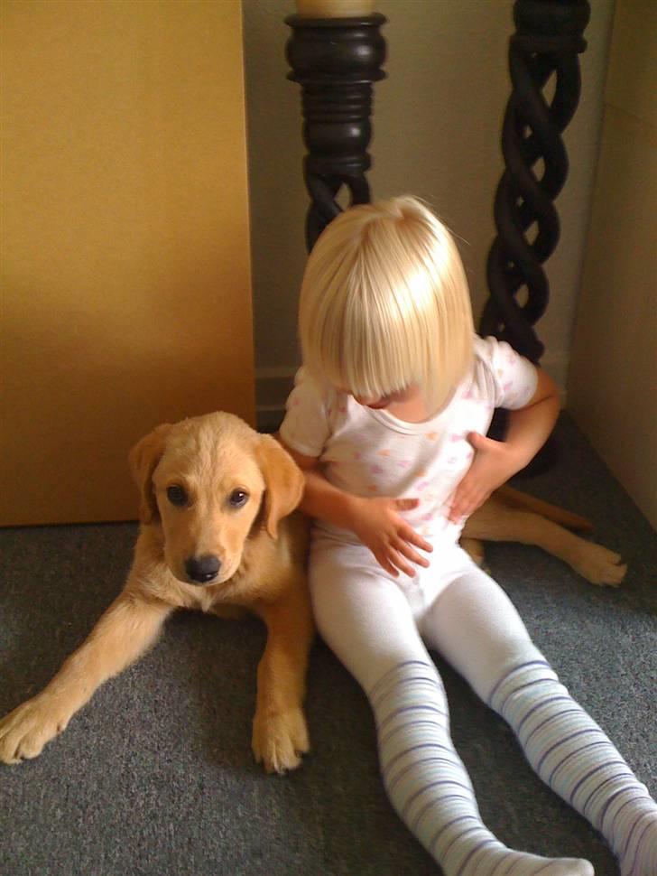 Blanding af racer Mika - 12 uger gammel billede 5