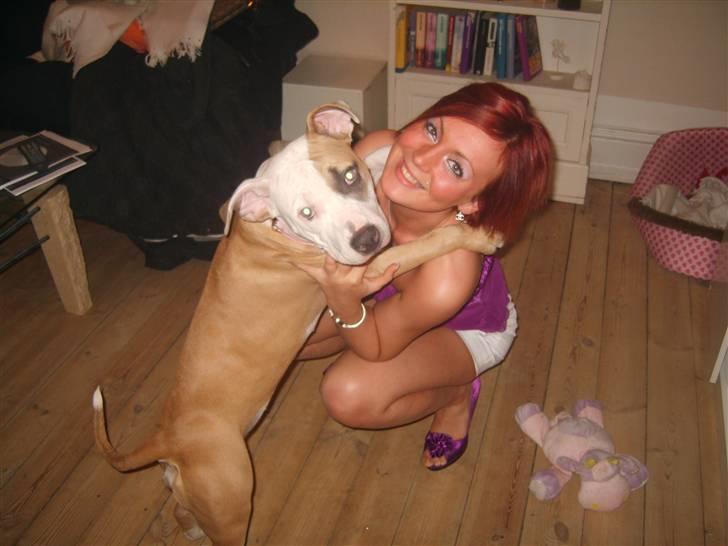 Amerikansk staffordshire terrier Monique - mor og Monique får lig en krammer :D billede 12