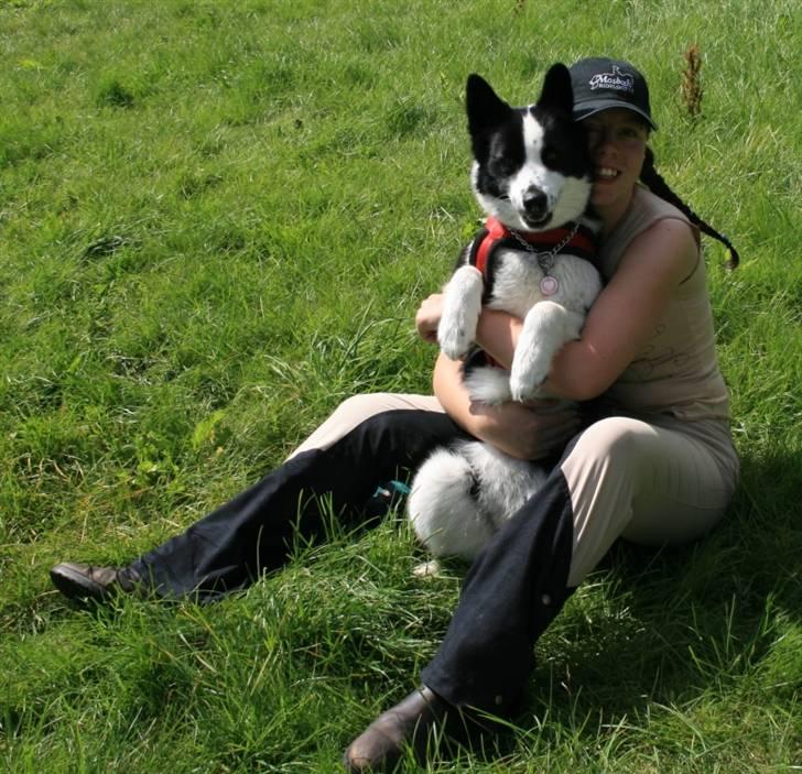 Karelsk bjørnehund Fifi - Fars yndlingspiger :) billede 6