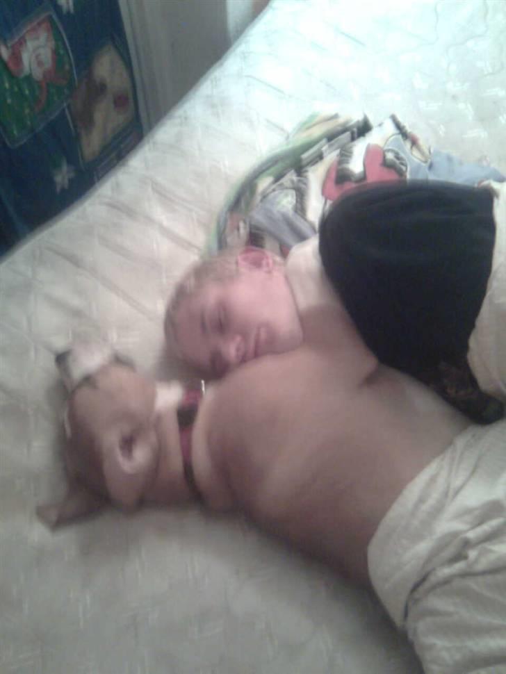 Blanding af racer coco - her sover far og coco sammen billede 5