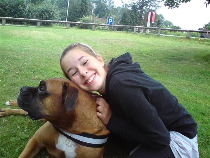 Boxer Thor....RIP D.15-1-10 - Hvem af os er mest fotogene???? billede 10