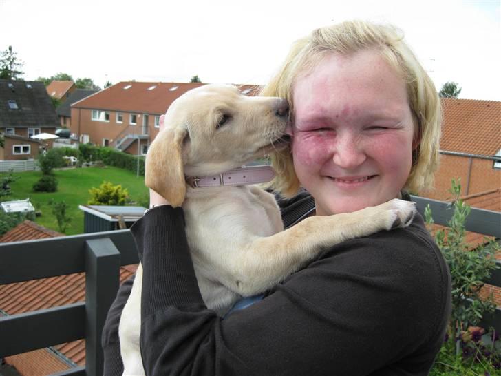 Blanding af racer Bella - Bella 9 uger billede 8