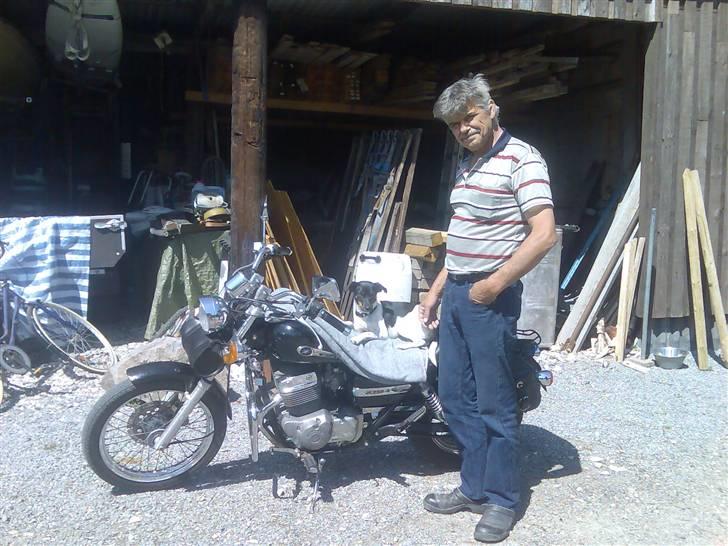 Dansk svensk gaardhund Tjørnely's Luna billede 2