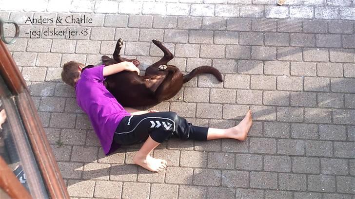 Blanding af racer charlie  billede 12