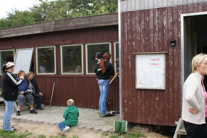 Boxer Von Drekise Stachy R.I.P - Vi skal jo også vejes her billede 4