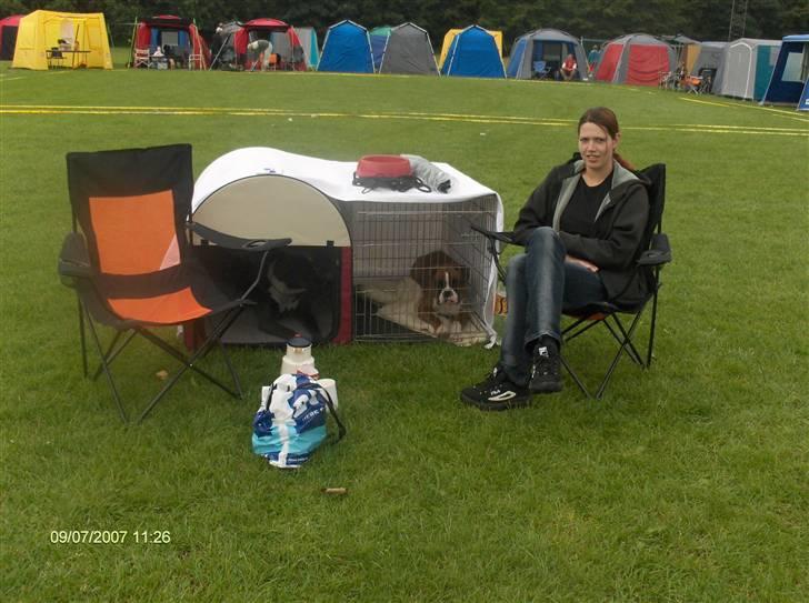 Boxer Kortums Agati billede 4