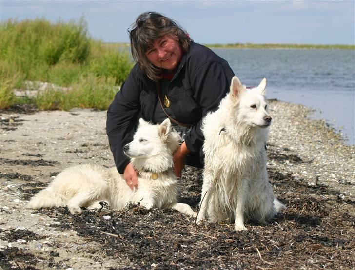 Blanding af racer Zofi - Mig med mit menneske.. Lise og min bedste ven.. Zif. billede 10