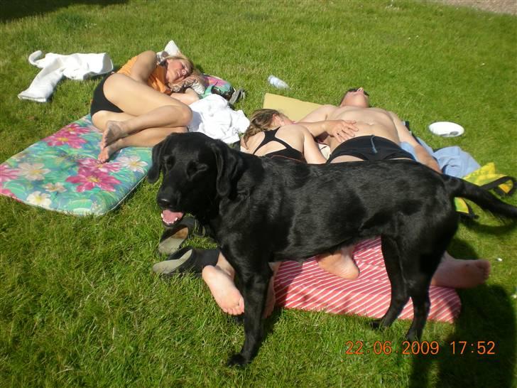 Blanding af racer zita billede 1