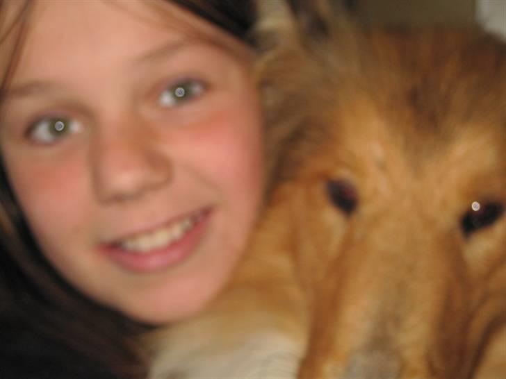 Collie langhåret Bobby - Line og mig  billede 5