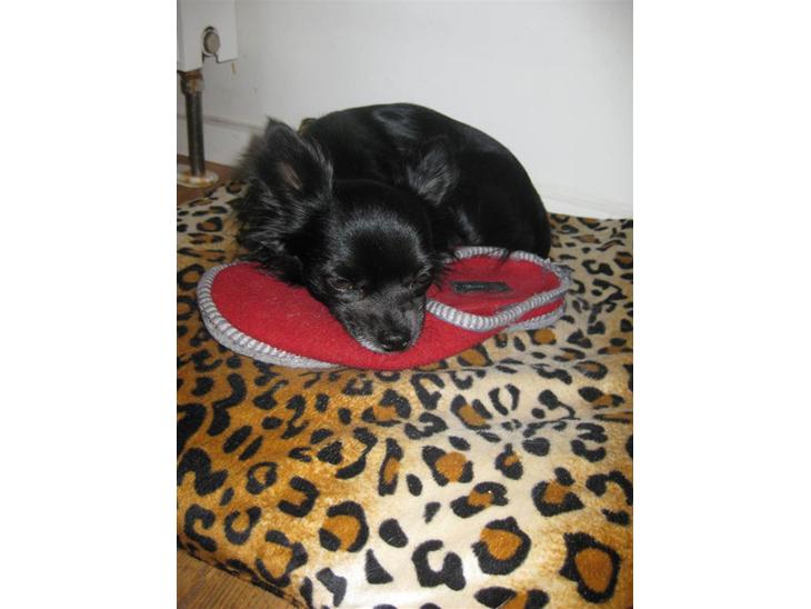 {{currentPhoto.altText}} billede {{currentPhoto.number}}