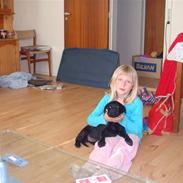 Blanding af racer Fie