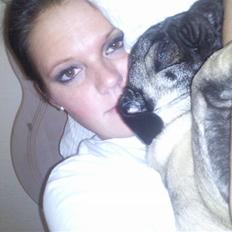 Mops allerskønneste Katie