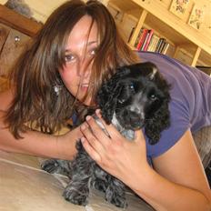 Cocker spaniel Kenzo