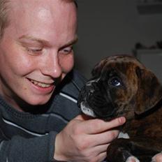 Boxer EMMA