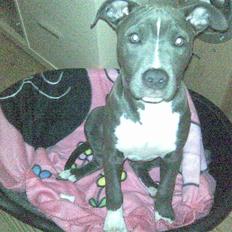 Blanding af racer Cassie <3        R.I.P. 