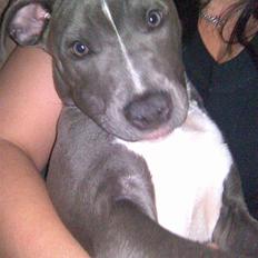 Blanding af racer Cassie <3        R.I.P. 