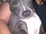 Blanding af racer Cassie <3        R.I.P.  - Hygger sammen med min moar :)