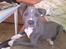 Blanding af racer Cassie <3        R.I.P. 