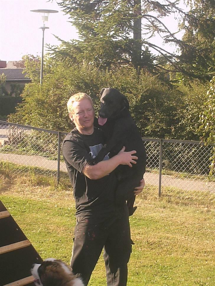 Labrador retriever freja R.I.P. mors pige billede 3