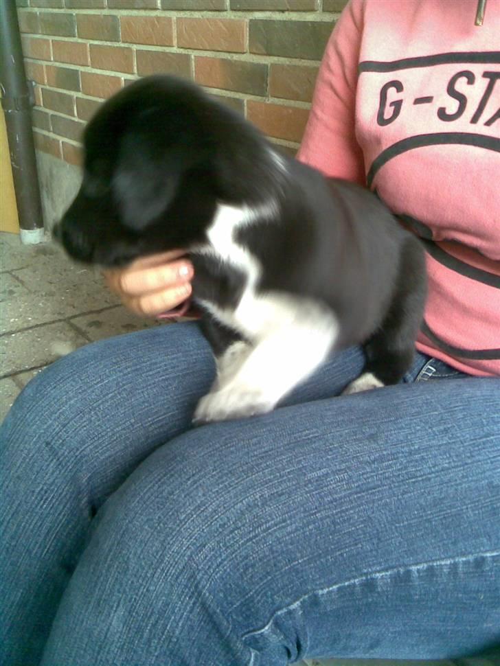 Blanding af racer lady - lad være med at tage billeder hele tiden billede 6