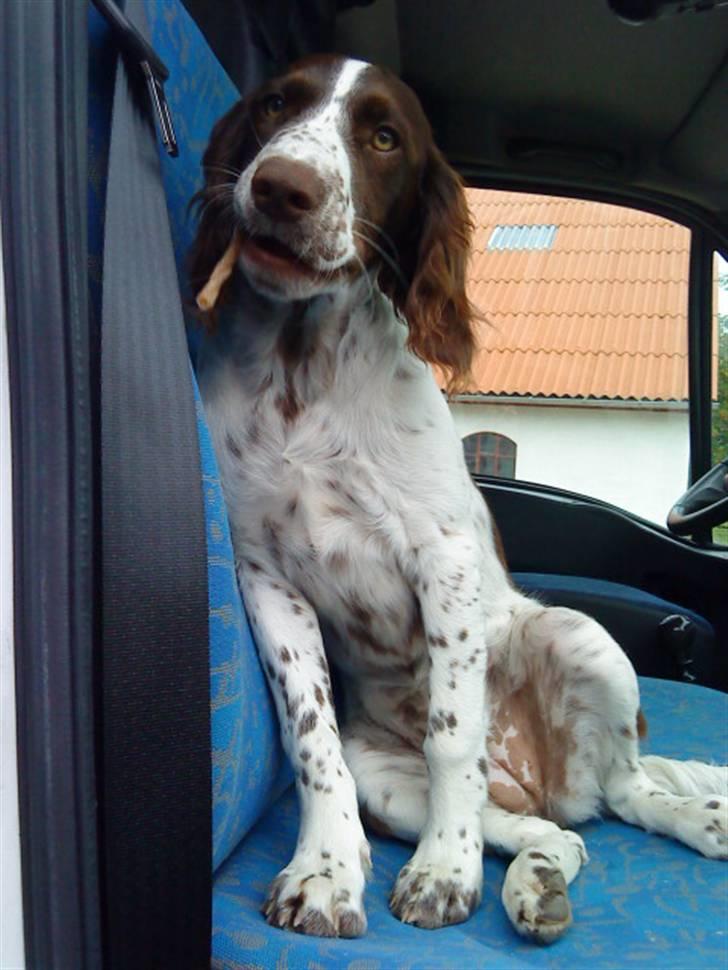 Blanding af racer Minne Sota - #17 Sota i min fars varevognXD Foto: Federica Bertucci  29/7 09 billede 17