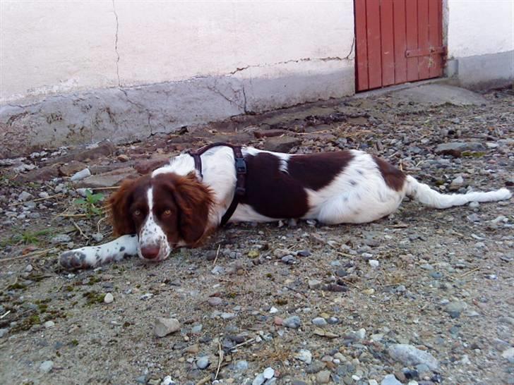 Blanding af racer Minne Sota - #18 Så specil du er helt dig selv:´D Foto: Federica Bertucci   billede 18