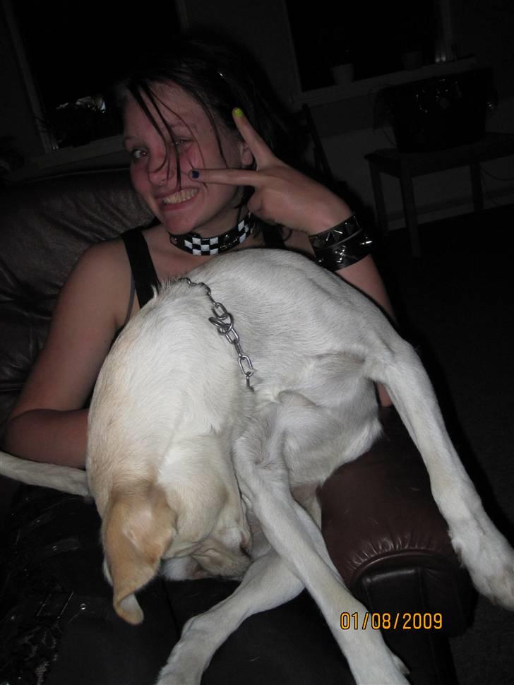 Blanding af racer Ronja billede 8