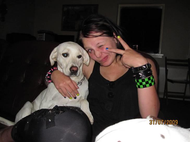 Blanding af racer Ronja billede 9