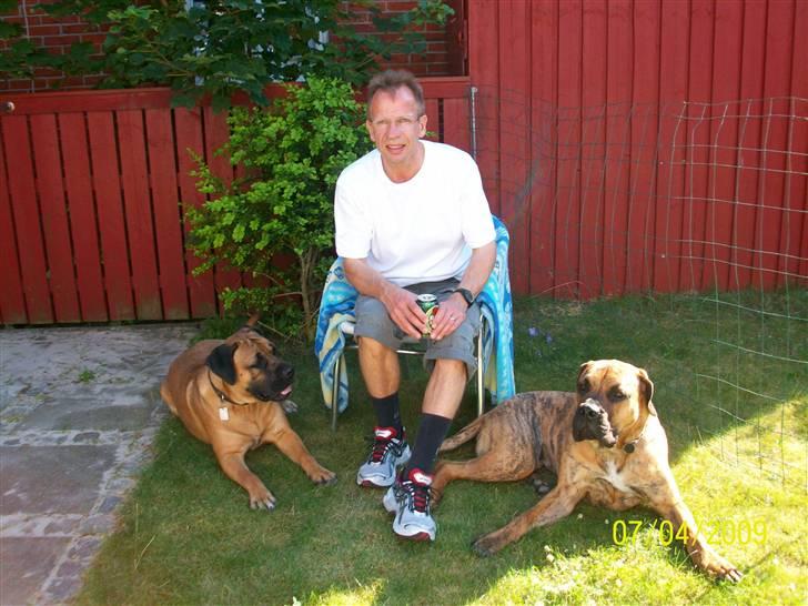 Boerboel Balder Teglborg*i himlen* - Skagen 09 Balder th, Mischa tv. billede 17