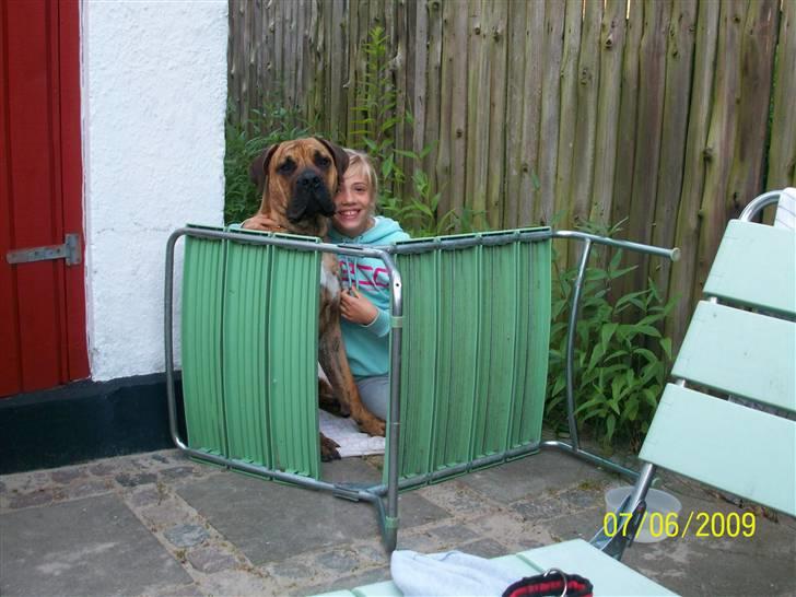 Boerboel Balder Teglborg*i himlen* - Skagen 09, Mig og balder hygger. billede 18