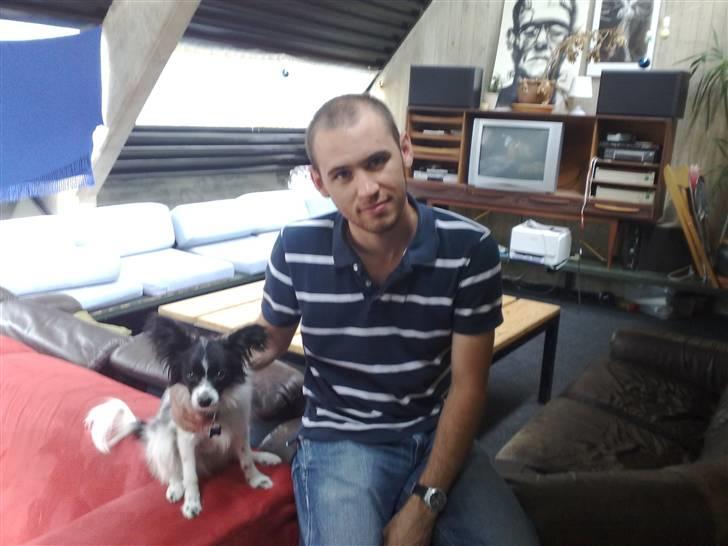 Papillon Balou *Bor Hos Veninde* billede 13