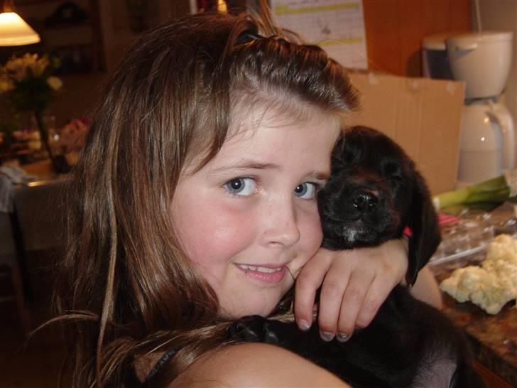 Blanding af racer Laban<333 - Man skal da også hele tiden tages billeder af billede 3