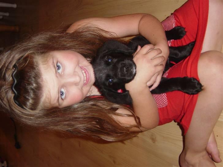 Blanding af racer Laban<333 - <33 billede 4