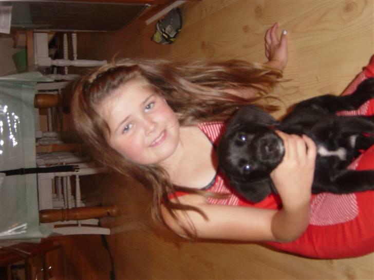 Blanding af racer Laban<333 - Love you<3 billede 6