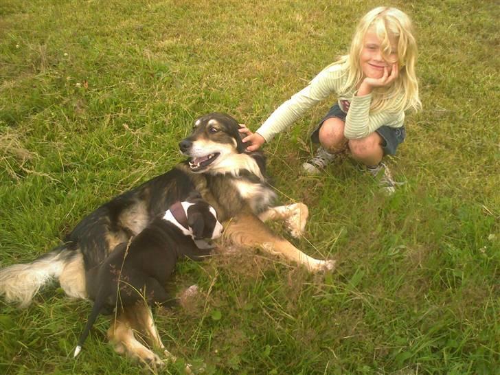 Blanding af racer Jeff - Lidt afslapning/ lege i haven... billede 9