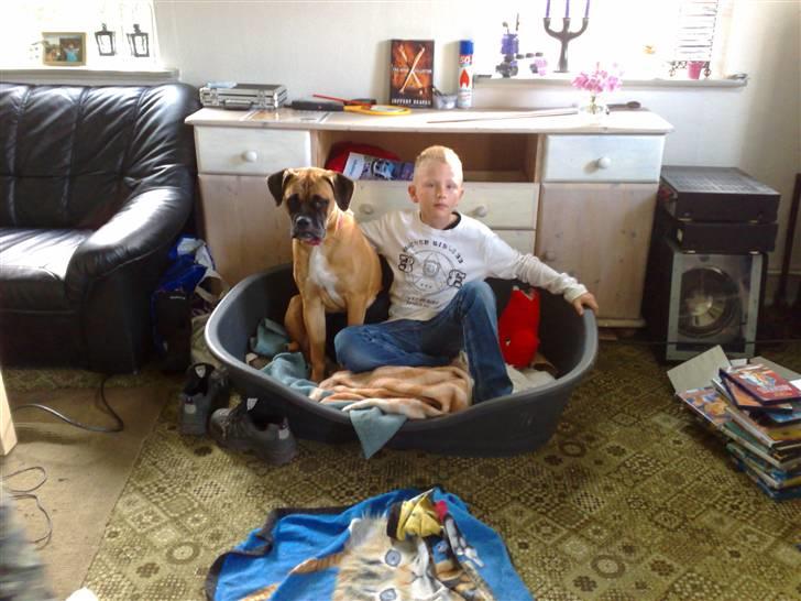 Blanding af racer Freya billede 10