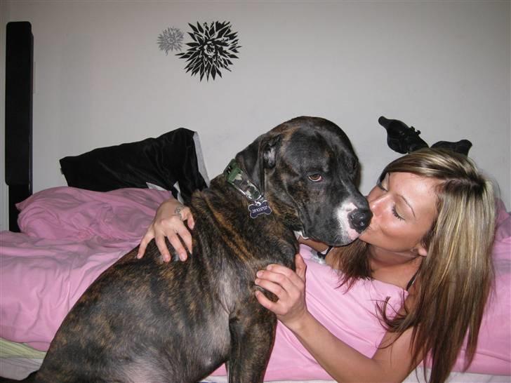 Blanding af racer Kenzo - Mor & Baby billede 10