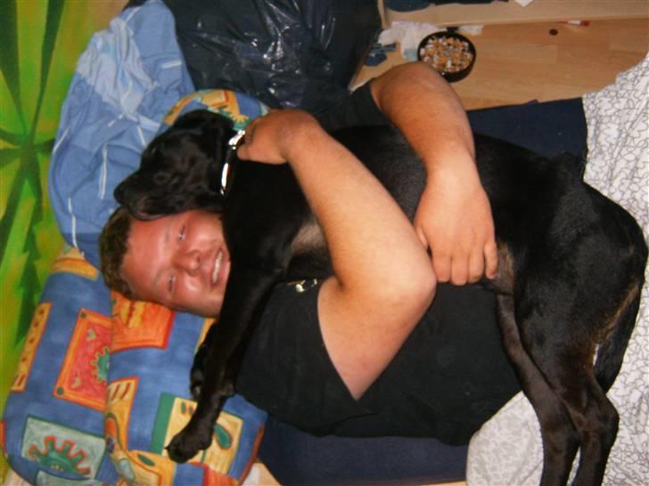 Blanding af racer Gaya - Gaya og Niels billede 2