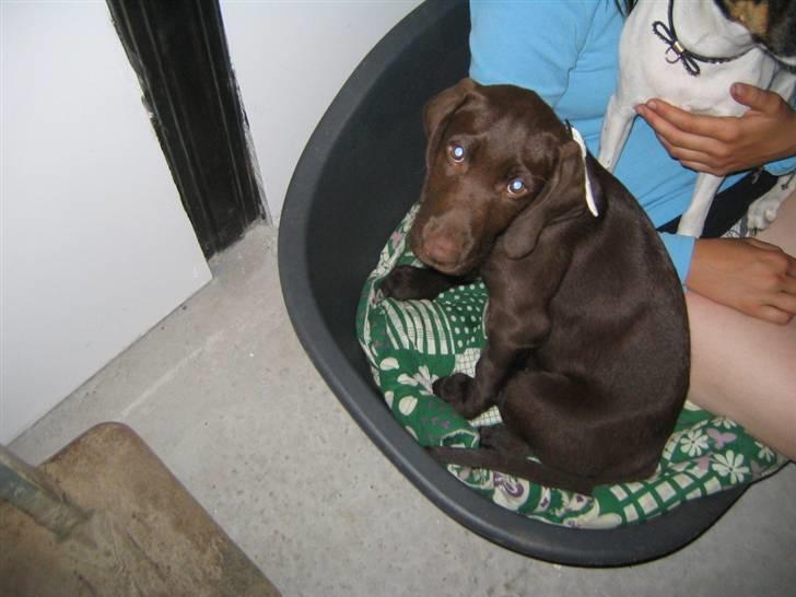 Blanding af racer Tanja <3 :D - hej med dig <3 billede 5