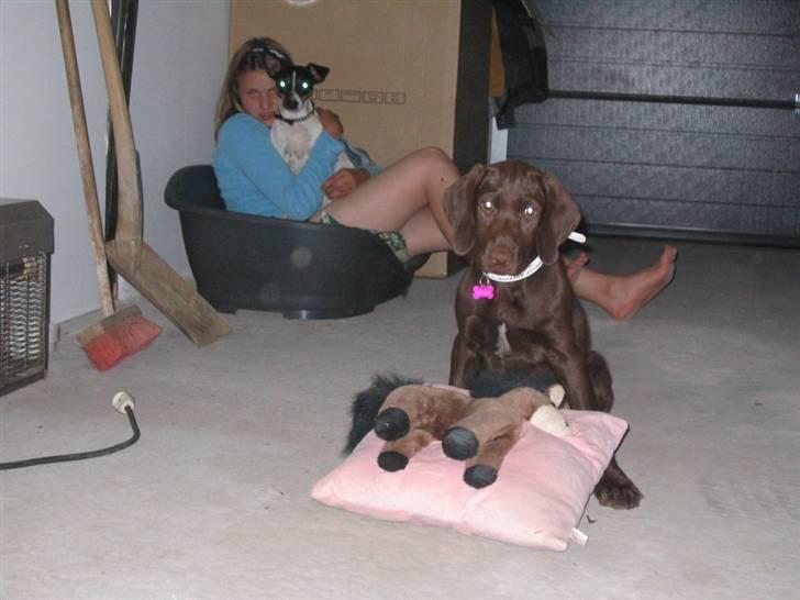 Blanding af racer Tanja <3 :D - miiin pude heh :D billede 7